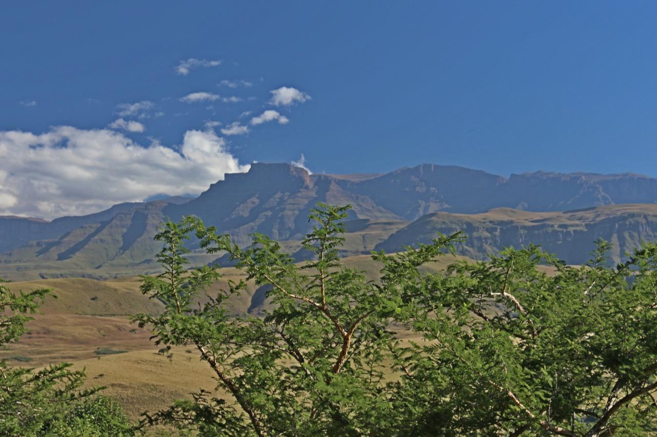 Treks, Trips And Trails Villa Champagne Valley Bagian luar foto